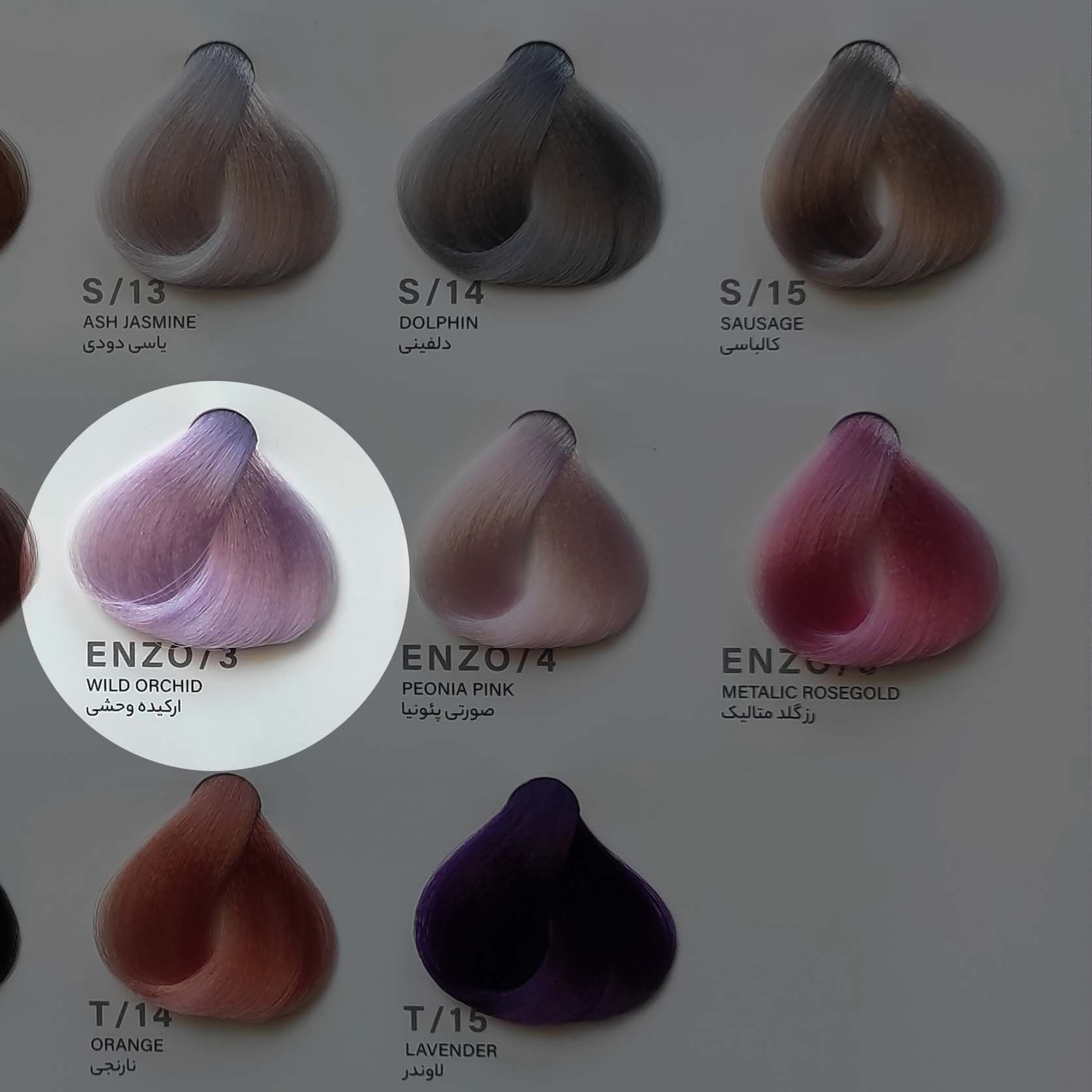 رنگ مو ارکیده وحشی ENZO.3 | رنگی خاص و جذاب